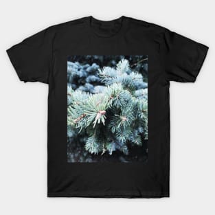 Pine Tree T-Shirt